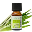 Huiles Essentielles - Citronnelle - 10 ml