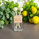 Petit Diffuseur d'Huiles Essentielles "Séduisant"