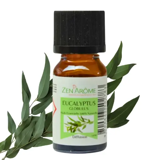 [HE004] Huiles Essentielles - Eucalyptus - 10 ml