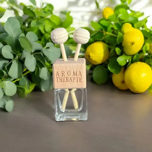 [PDVH002] Petit Diffuseur d'Huiles Essentielles "Séduisant"