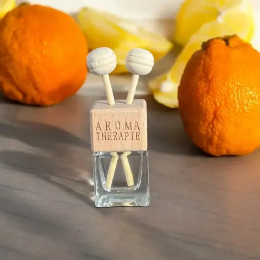 [PDVH001] Petit Diffuseur d'Huiles Essentielles "Vivifiant"